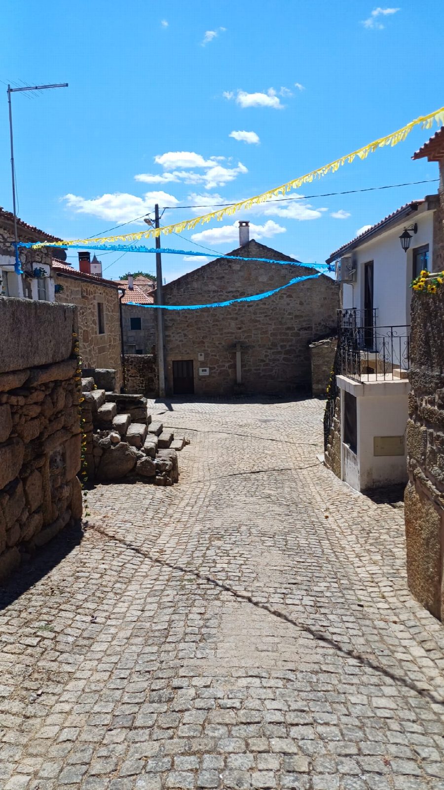 Festa de Verão 2024 2