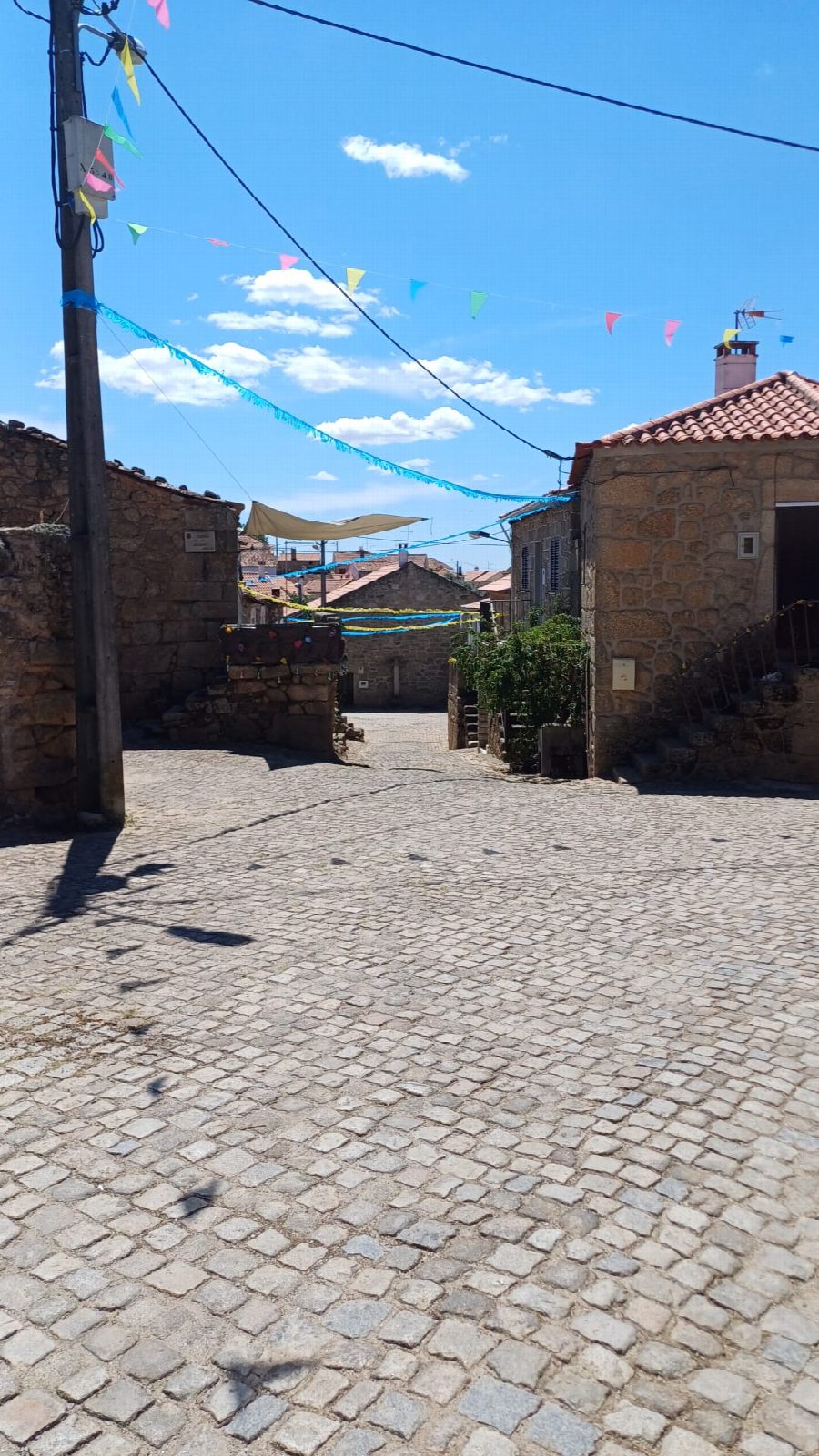 Festa de Verão 2024 3