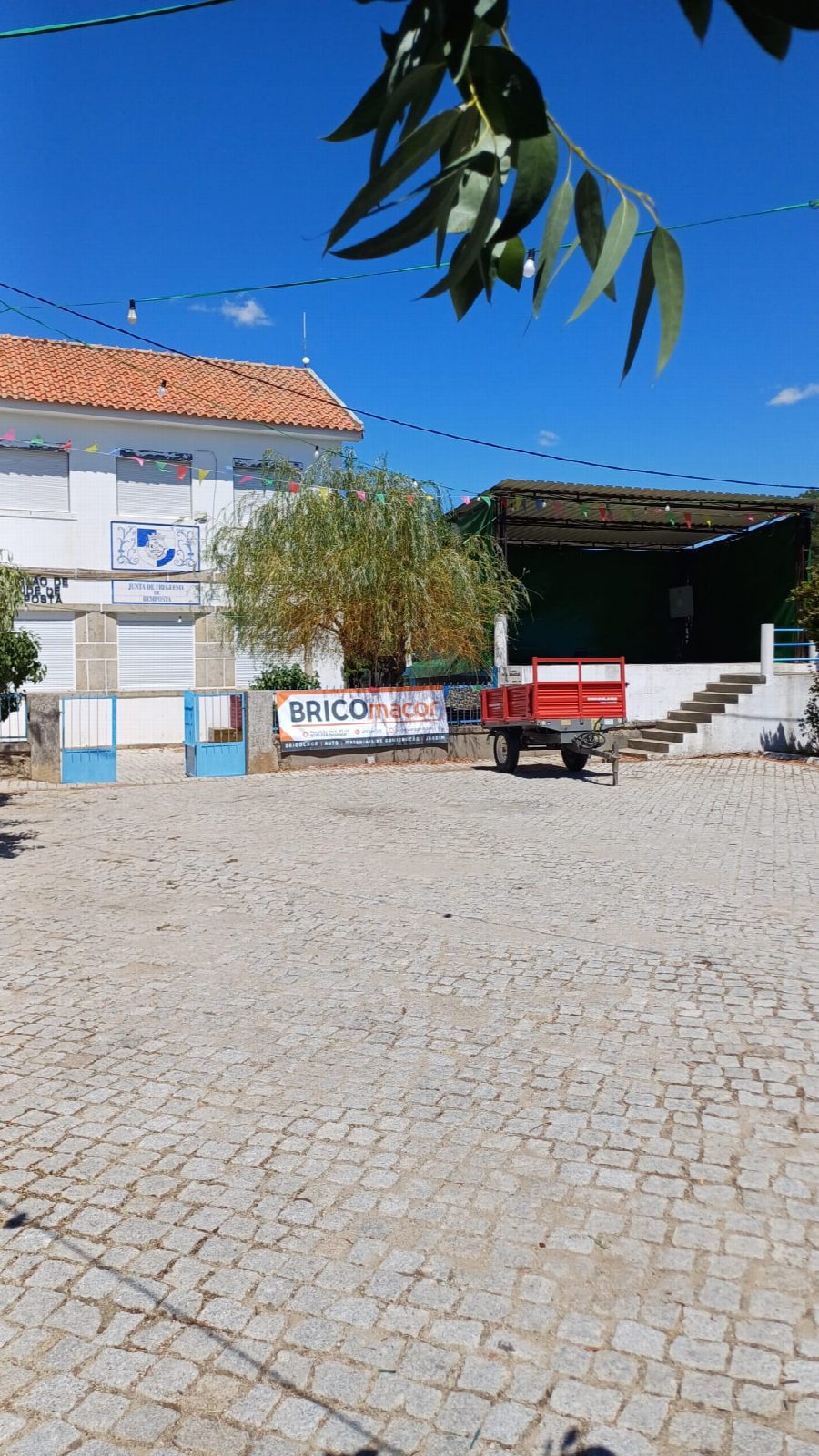 Festa de Verão 2024 5
