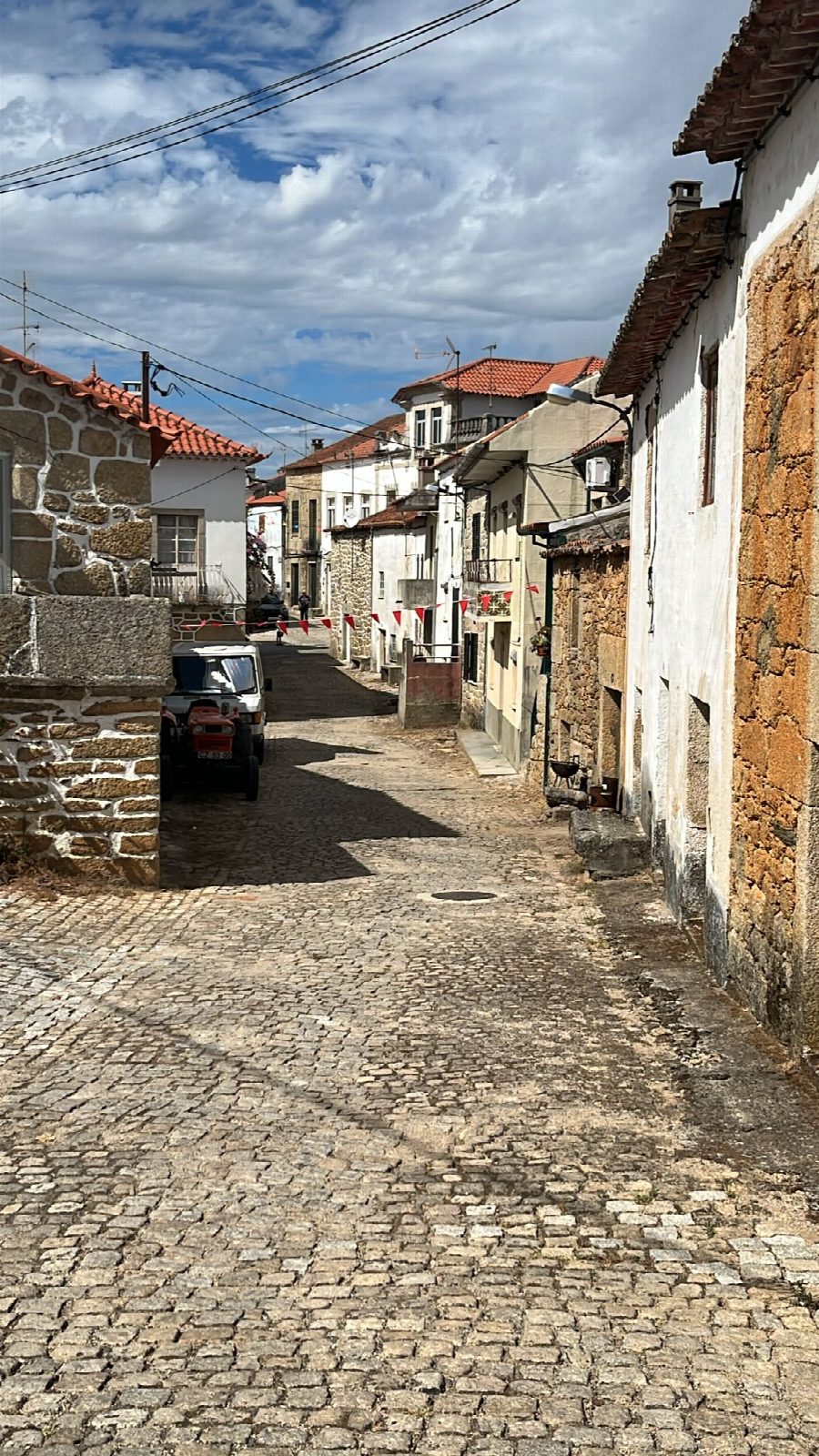 Festa de Verão 2024 6