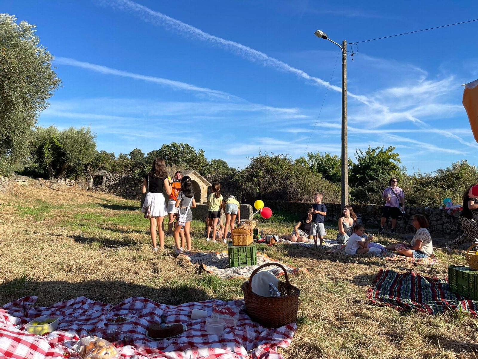 Festa de Verão 2024 18