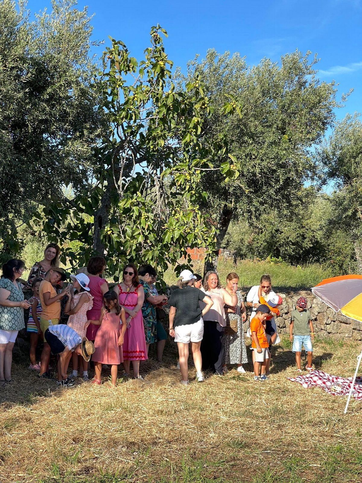 Festa de Verão 2024 25